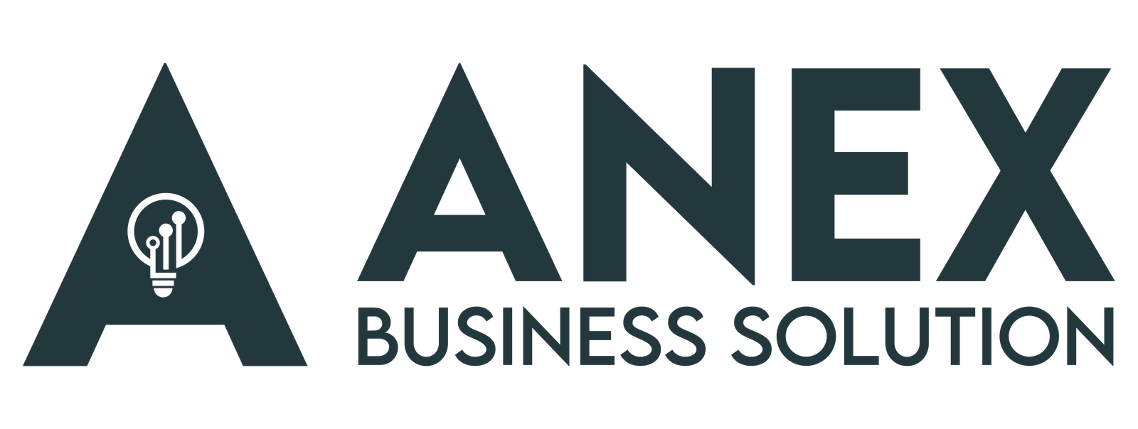 ANEX Business Solution